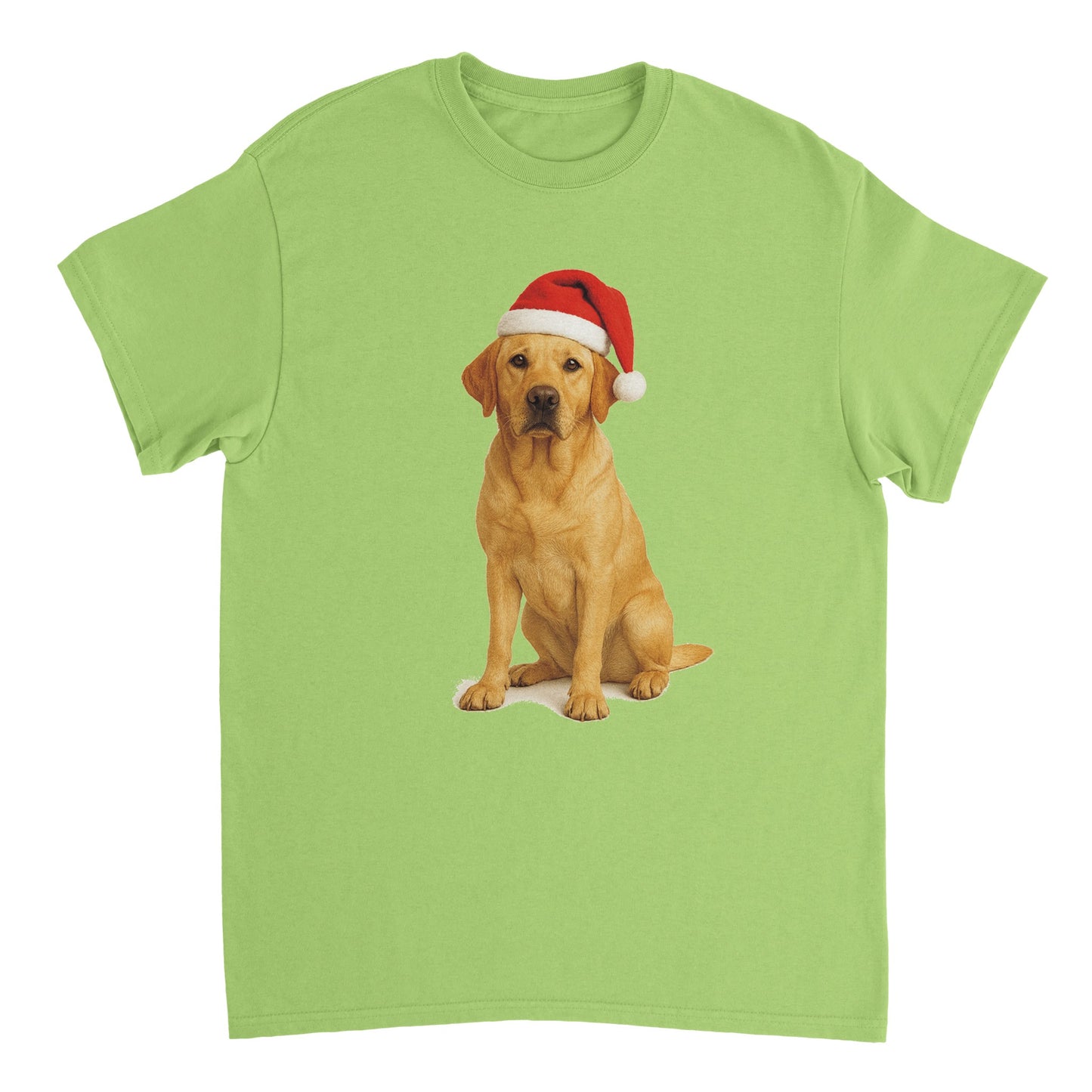 3de9563c-67f0-42ec-aa64-af363656e4c1