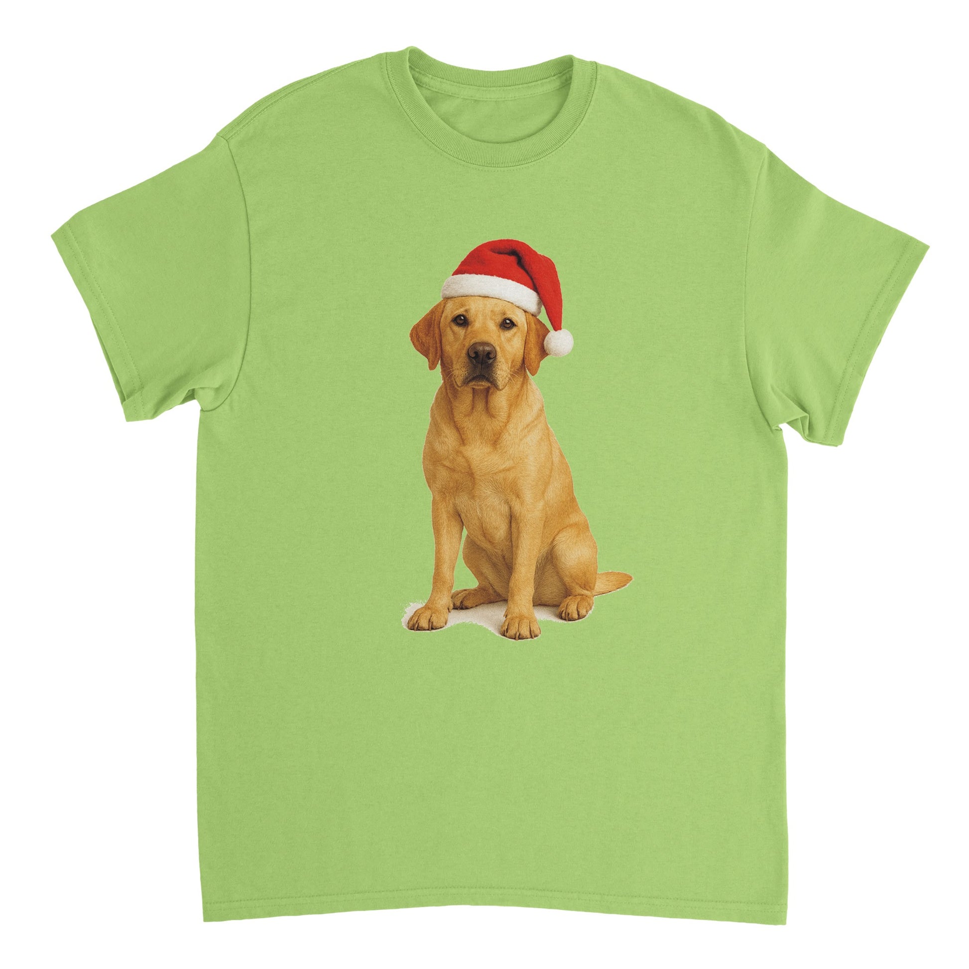 3de9563c-67f0-42ec-aa64-af363656e4c1