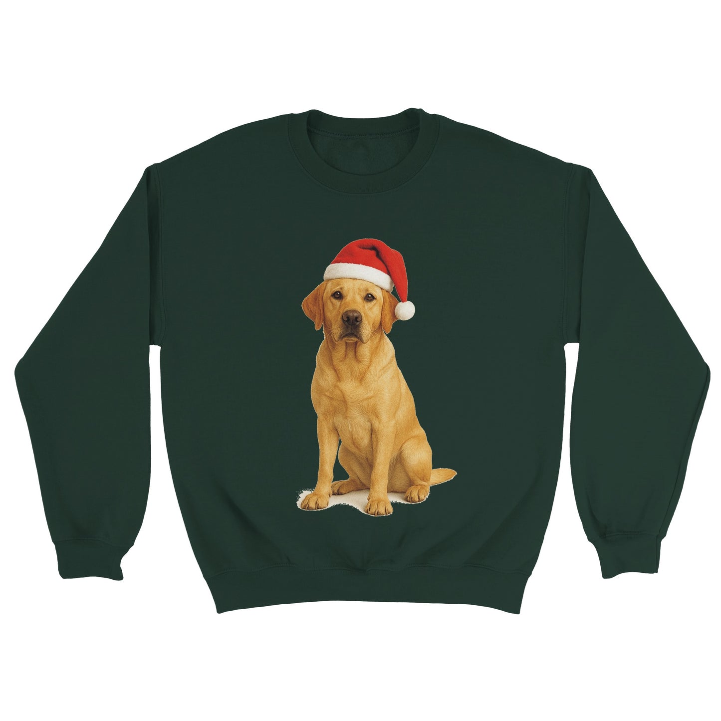 b80cb75e-0c4b-47e3-a5e8-bdb37f5fc614