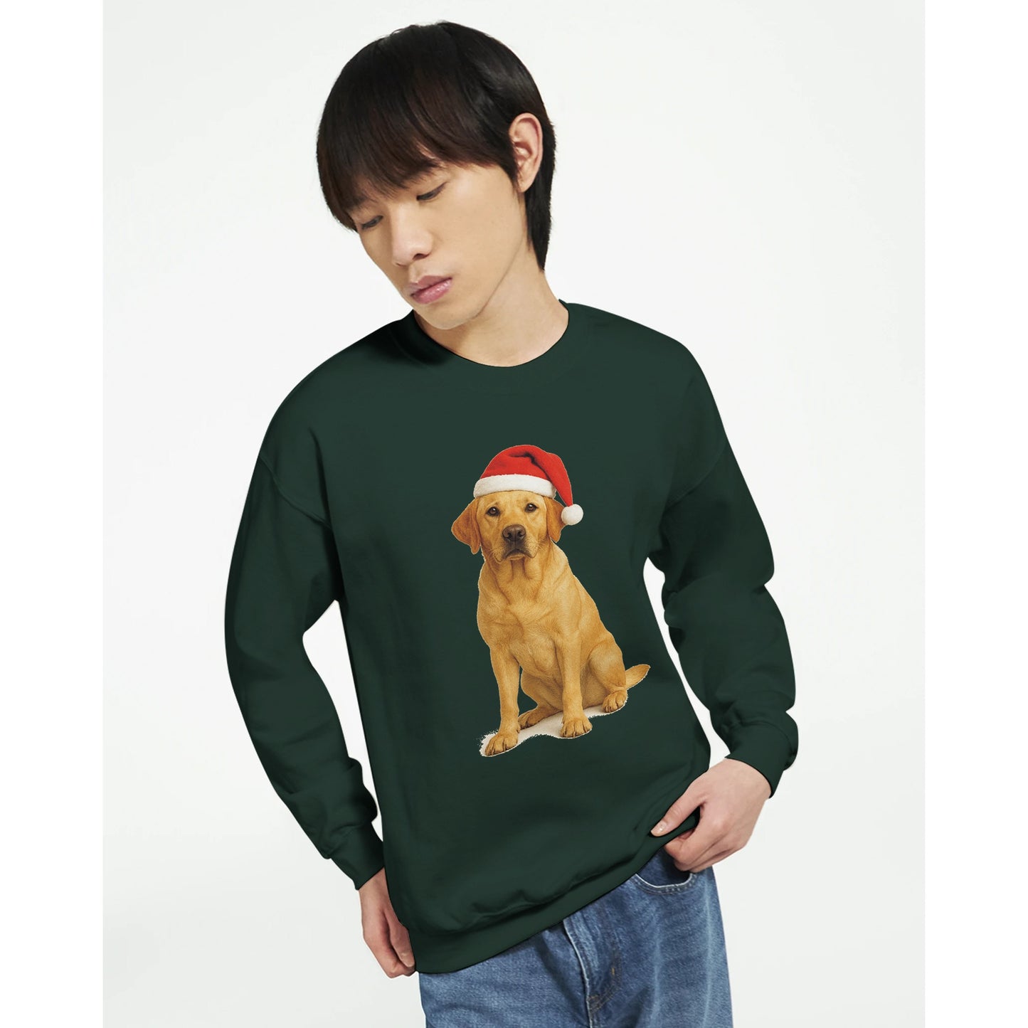 fd7b50b7-1812-4a9b-9857-112fbb3339d6