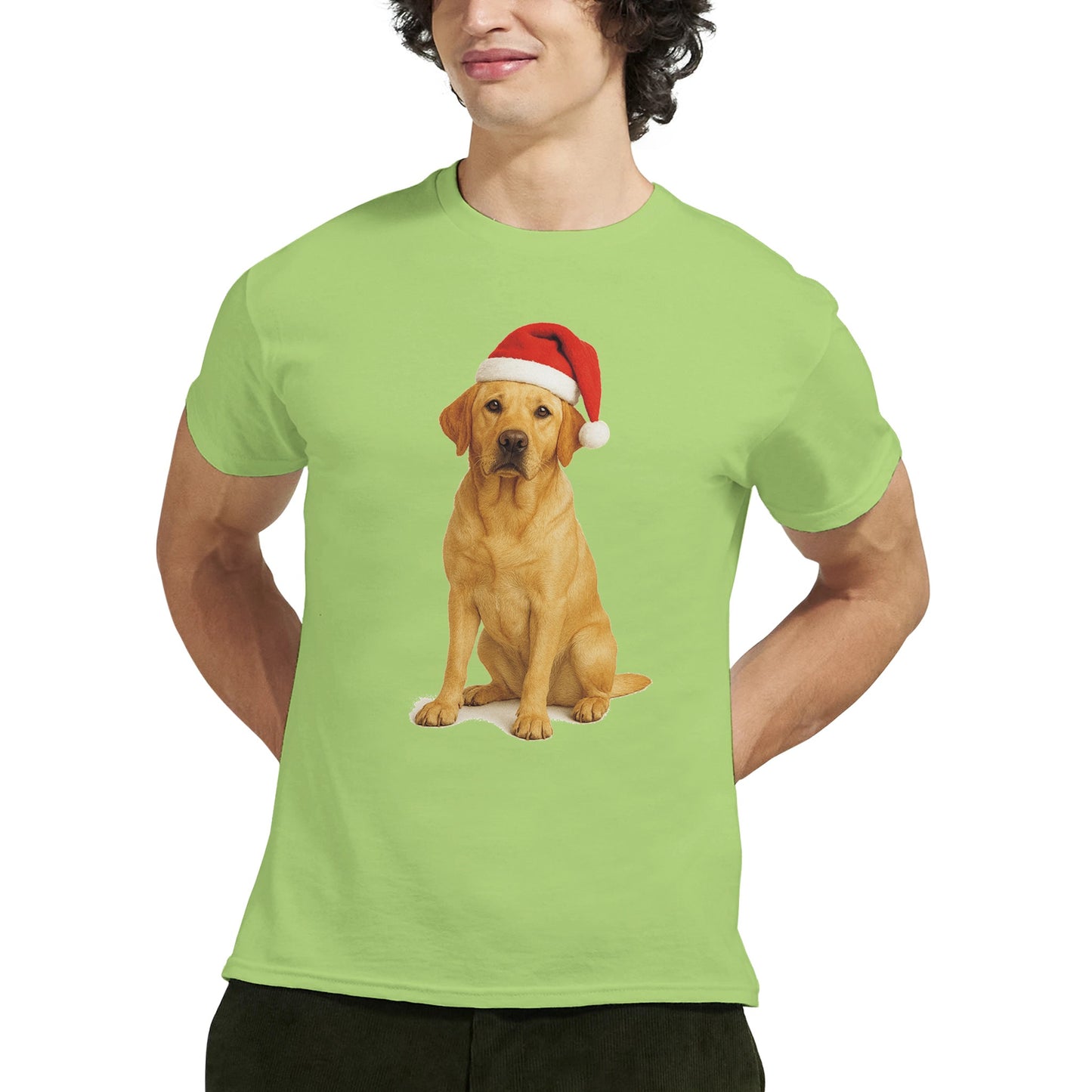 04a167f2-81b8-4aba-a878-79639a70af4e