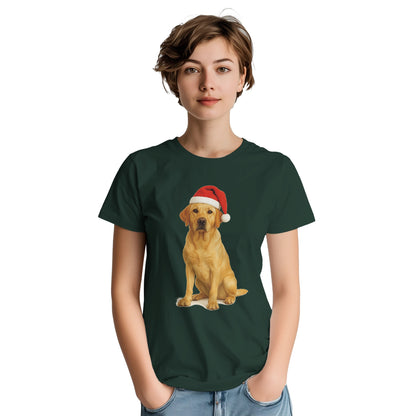 24bbf4dd-c505-4351-a3db-2863a05a4178