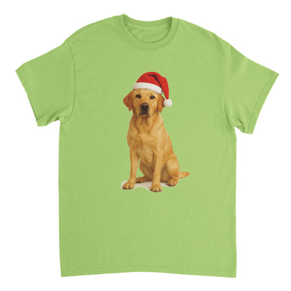 3de9563c-67f0-42ec-aa64-af363656e4c1