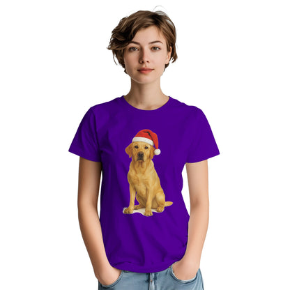 4353bd4c-7ab3-4928-9124-ee35ee4a92e1