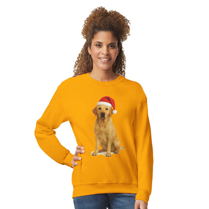 62533c78-12d9-4951-ad2e-954fe7879e0a