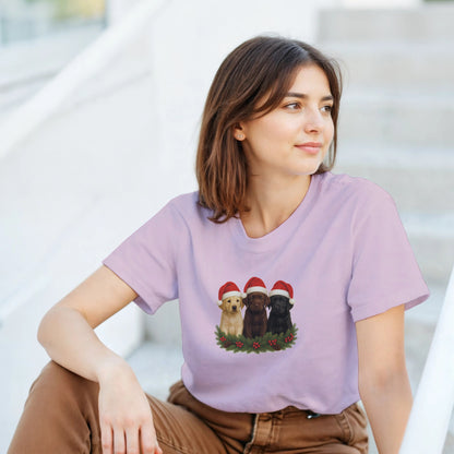 66e3c248-c49d-4669-897e-ddcb77b91e26