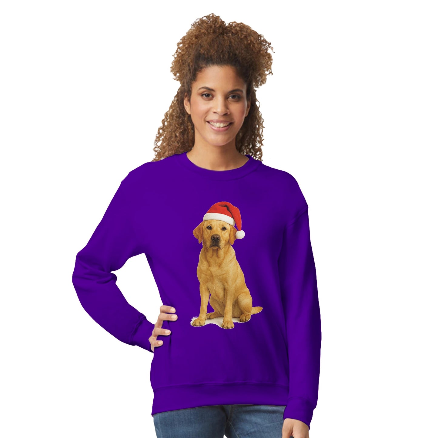 7f8e62fc-7449-44d1-b101-64c1c84f8471