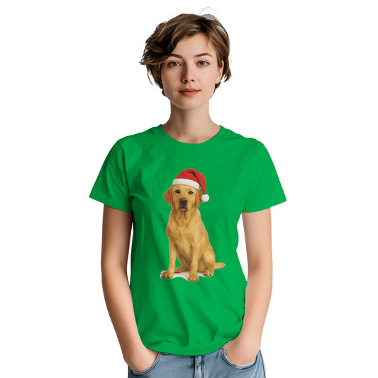 8121c258-a478-49f2-8852-51a85d9a0542