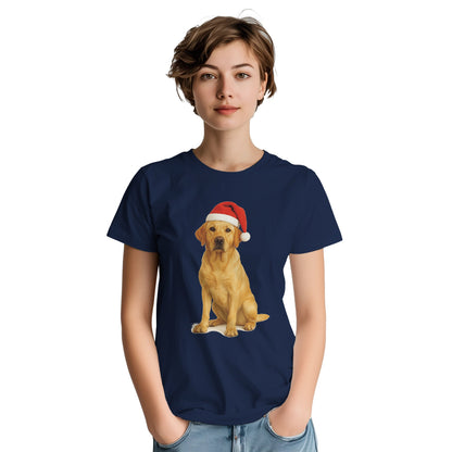 c4ff2c59-c9bf-4d72-a5e0-a478985f5e4c