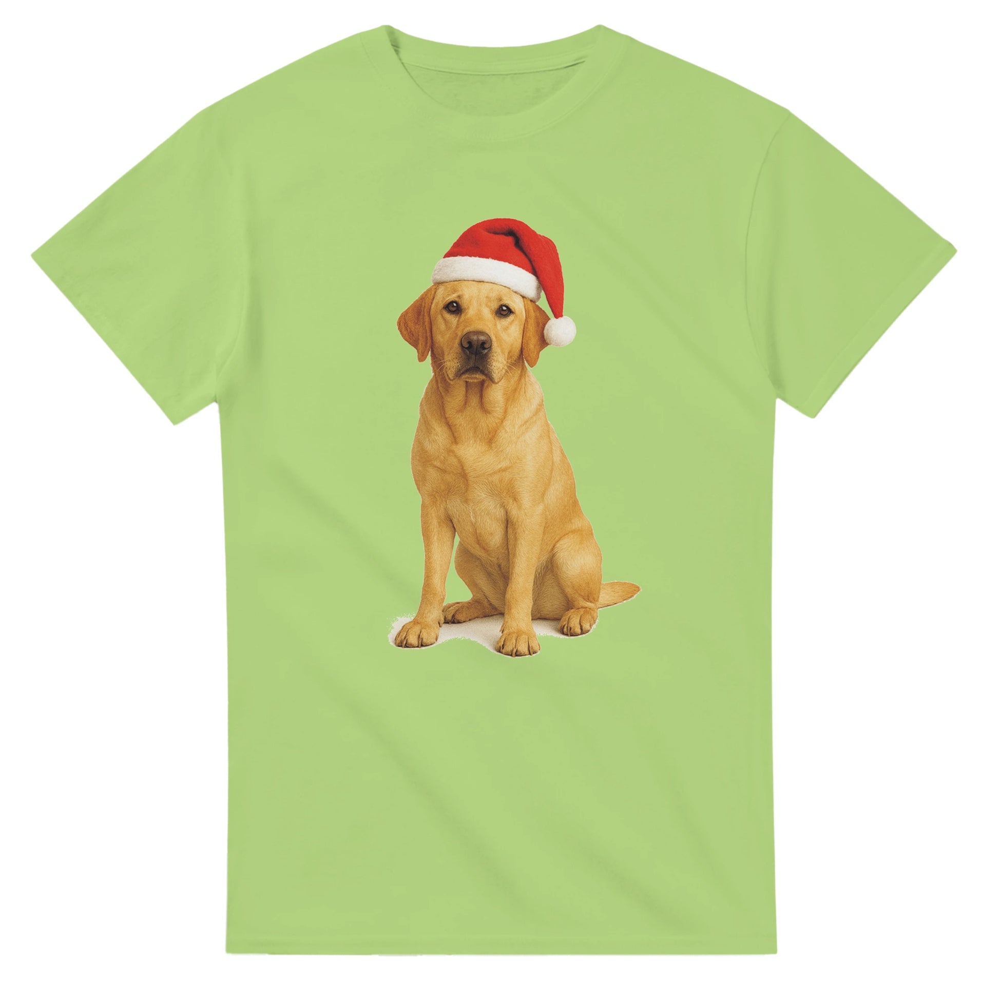 c6814c5b-daea-4f00-88e1-1cd4fb13dd08