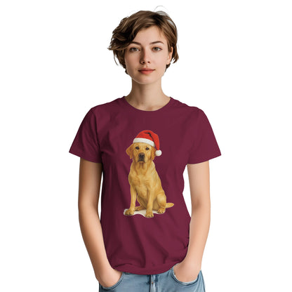 ec3c71cd-520e-4730-8acd-01fbbff46a25