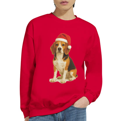 fbe553f7-ae1a-43ef-9f54-625d5bd2965f